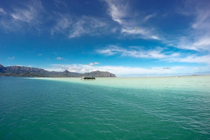 Afternoon Kaneohe Sandbar Snorkeling Tour - Frequently Asked Questions