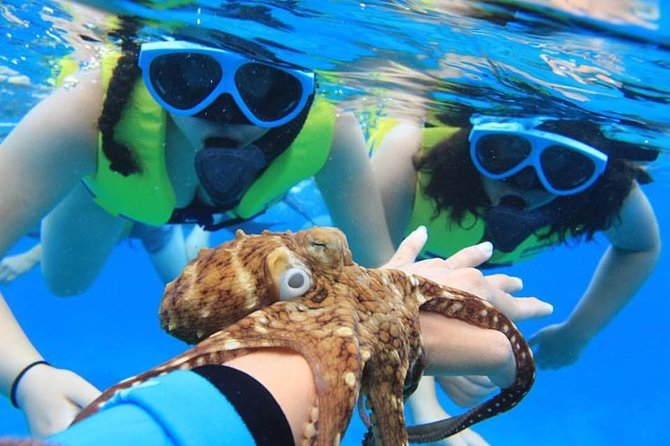 Ko Olina Catamaran Sail and Snorkel - Who Should Consider This Tour?