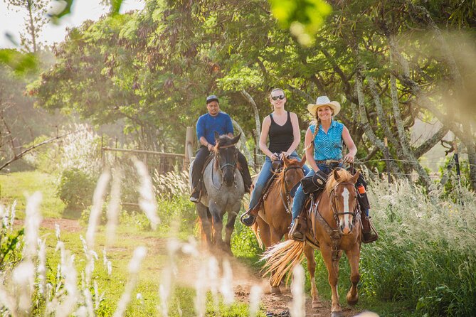 1 Hour Scenic Horseback Ride - Who Will Enjoy This Ride?