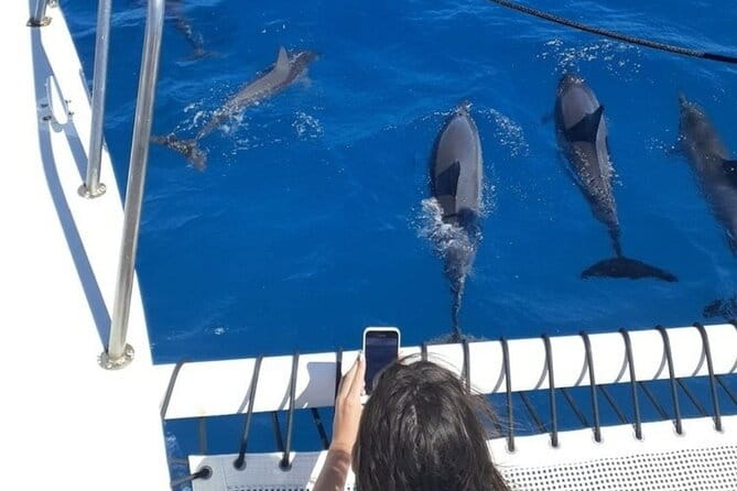 Sail and Turtle Snorkeling Tour in Waikiki - Who Is This Tour Perfect For?