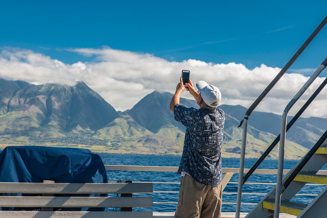 2-Hour Oahu Whale Watch from Ala Wai Harbor, Waikiki - Key Points