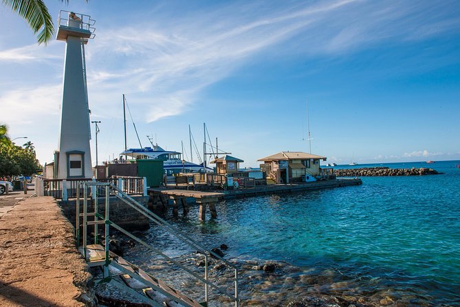 2-Hour Oahu Whale Watch from Ala Wai Harbor, Waikiki - What To Expect During Your Whale Watch