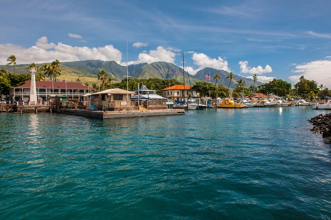 2-Hour Oahu Whale Watch from Ala Wai Harbor, Waikiki - Authentic Experiences and Authentic Feedback