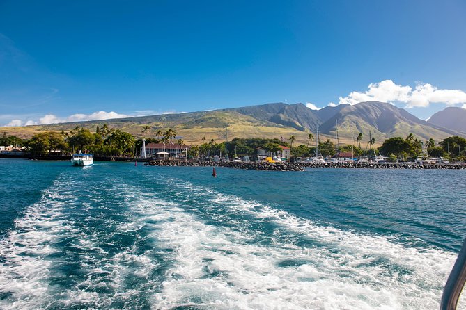 2-Hour Oahu Whale Watch from Ala Wai Harbor, Waikiki - FAQs
