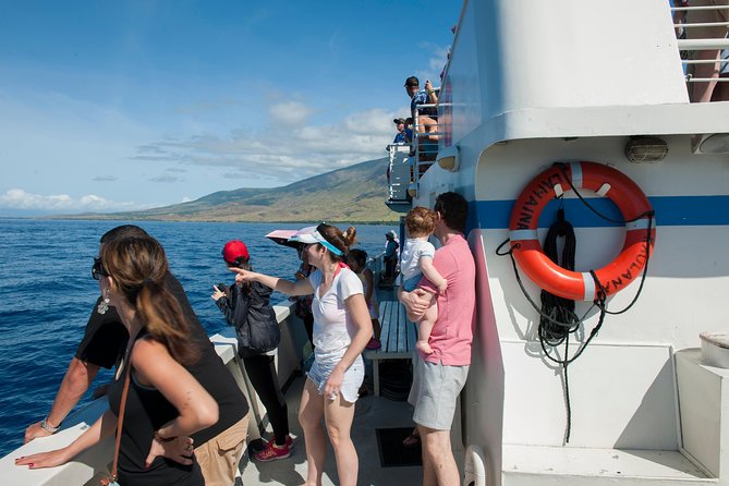 2-Hour Oahu Whale Watch from Ala Wai Harbor, Waikiki - The Practical Details