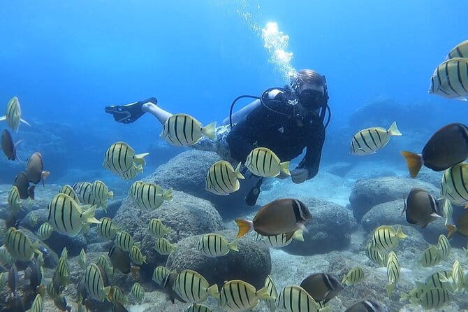 Beginner Scuba Experience with Video Package in Honolulu - What Makes the Experience Stand Out