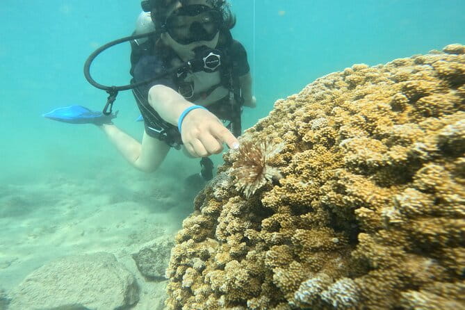 Beginner Scuba Experience with Video Package in Honolulu - A Detailed Look at the Experience