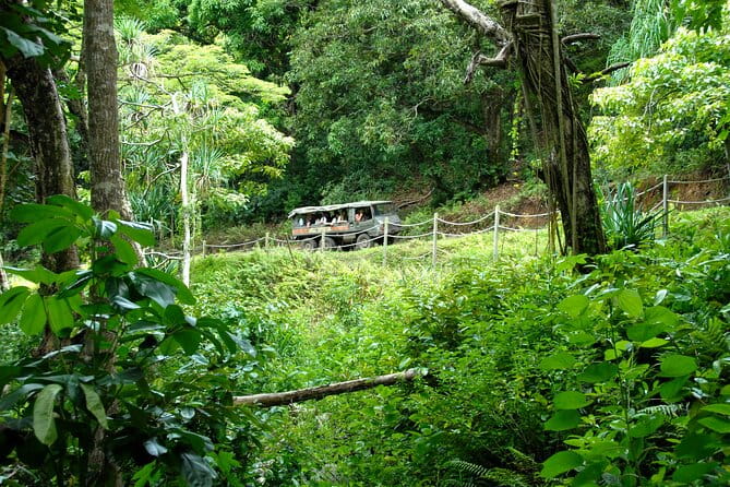Kualoa Ranch: Jungle Expedition Tour - FAQs