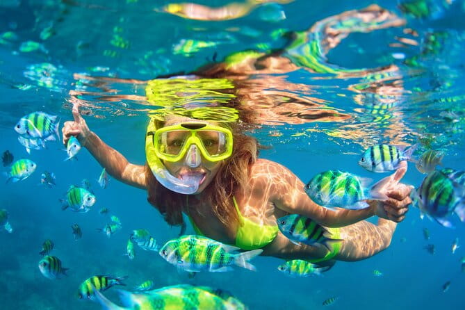 Waikiki Green Sea Turtle Snorkeling Tour - Boat Excursion - The Detailed Itinerary: What to Expect at Each Stop