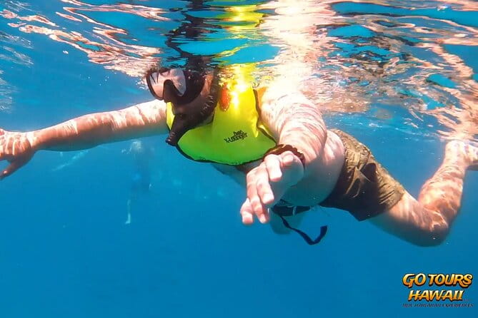 Waikiki Green Sea Turtle Snorkeling Tour - Boat Excursion - Authentic Perspectives from Other Travelers