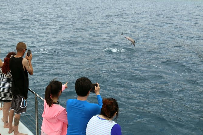 Oahu: All-Inclusive Snorkeling Cruise and Hot Hawaiian Buffet - The Sum Up: A Well-Rounded Oahu Ocean Adventure