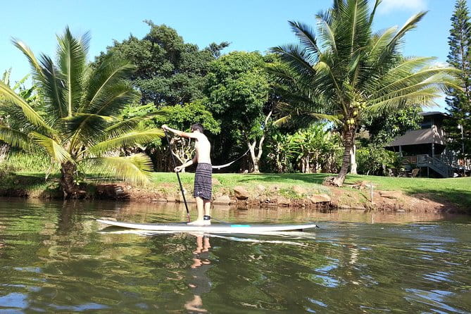 1/2 Circle Island & North Shore Fun with The Surf Bus - Key Points