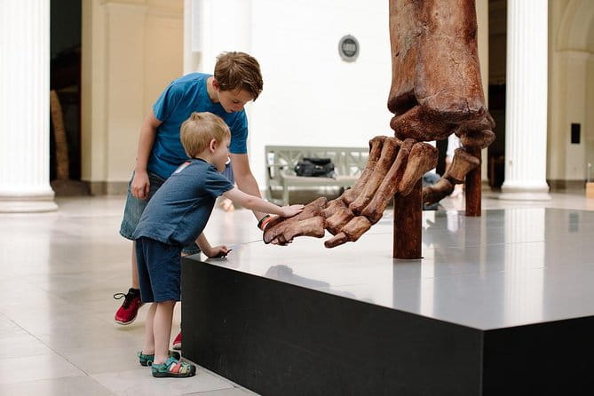Field Museum of Natural History Admission Tickets - Navigating Your Visit
