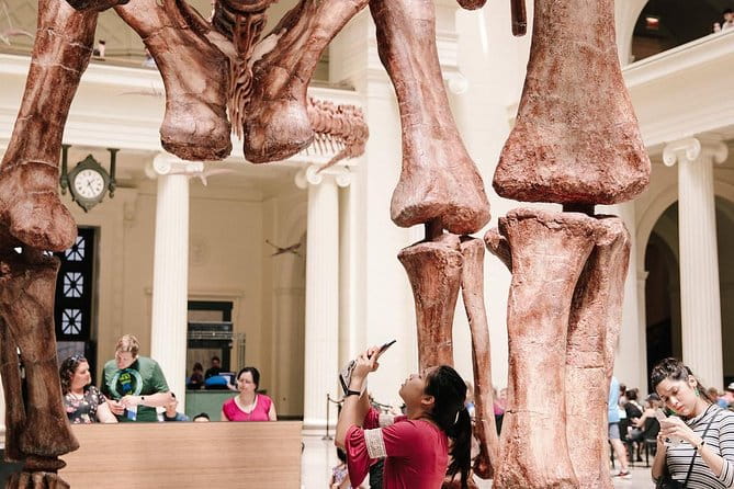 Field Museum of Natural History Admission Tickets - Who Should Visit?