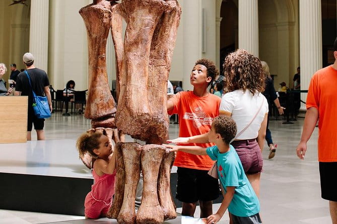 Field Museum of Natural History Admission Tickets - Summary: The Value of a Visit