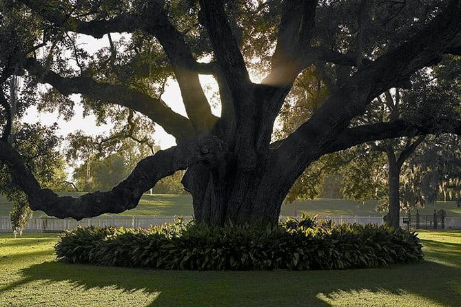 Destrehan Plantation Tour - Who Will Love This Tour?