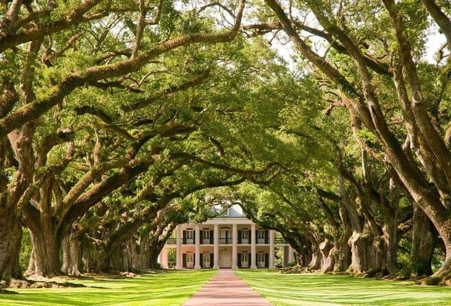 Oak Alley Plantation and Small Airboat Tour from New Orleans - Key Points