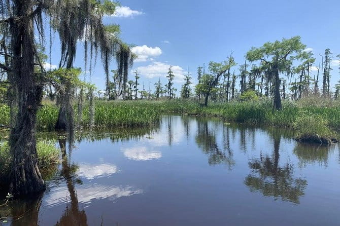 Large Airboat Swamp Tour with Transportation from New Orleans - FAQ