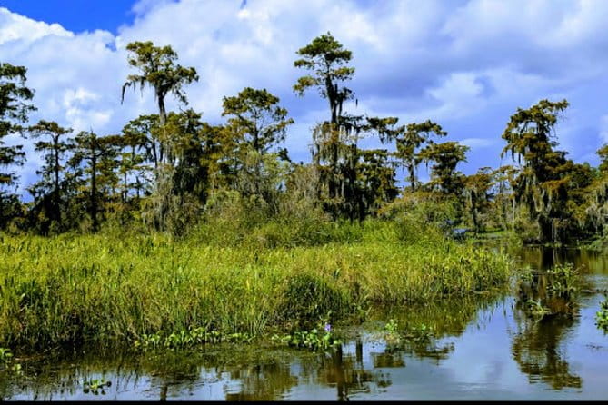 New Orleans Swamp Tour Boat Adventure with Transportation - Transportation and Group Size
