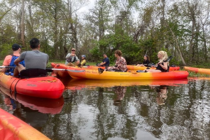 Small-Group Manchac Swamp Kayak Tour - Authenticity and the Value of Guided Ecological Tours