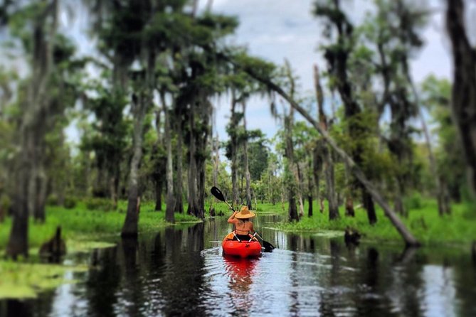 Small-Group Manchac Swamp Kayak Tour - FAQs