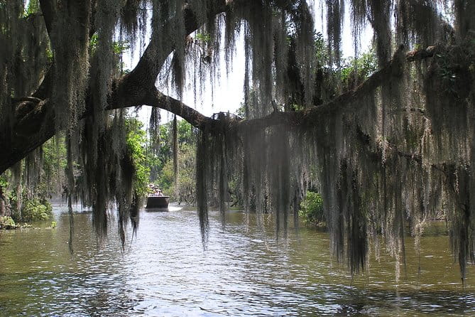 Small-Group Bayou Airboat Ride with Transport from New Orleans - Frequently Asked Questions