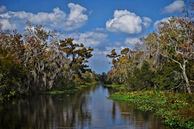Small-Group Bayou Airboat Ride with Transport from New Orleans - Who Will Love This Experience?