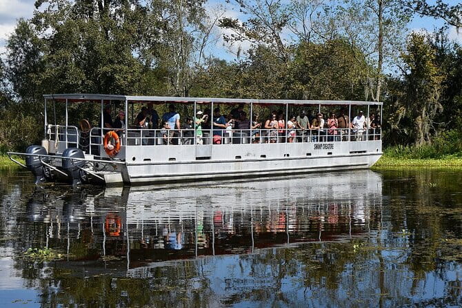 Guided Boat Tour of New Orleans Bayou and Wildlife - An Introduction to the Tour Experience