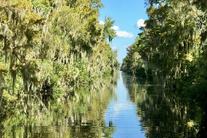 Guided Boat Tour of New Orleans Bayou and Wildlife - Final Thoughts: Who Is This Tour For?