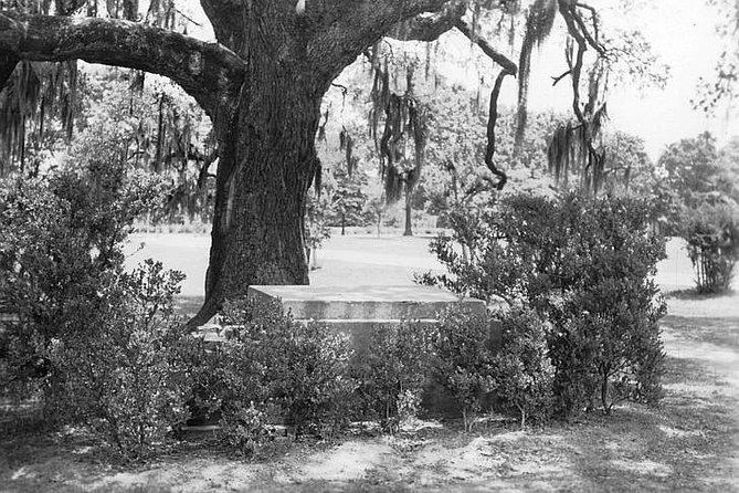 New Orleans Dead of Night Ghosts and Cemetery Bus Tour - FAQ