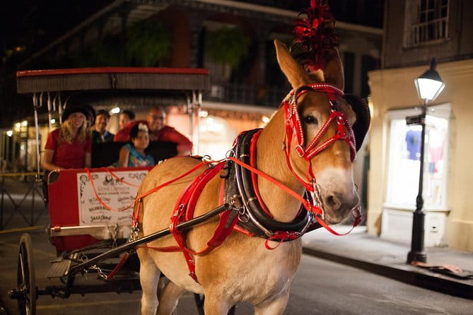 New Orleans Small-Group Haunted History Carriage Tour - The Itinerary in Detail