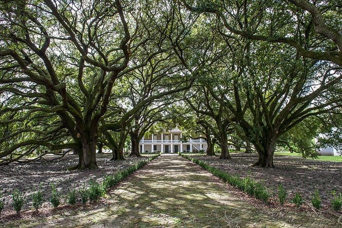 Whitney Plantation Tour with Transportation from New Orleans - Who Should Consider This Tour?