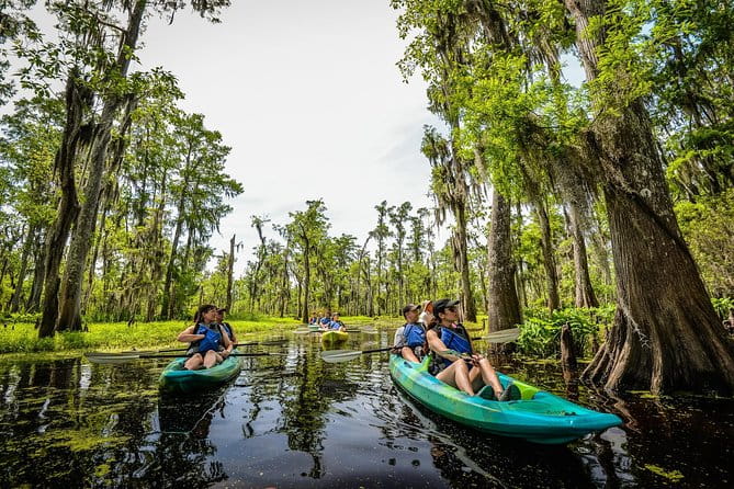 Small-Group Manchac Swamp Kayak Tour with Local Guide - A Closer Look at the Tour Itinerary
