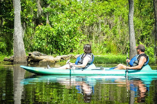 Small-Group Manchac Swamp Kayak Tour with Local Guide - Final Thoughts