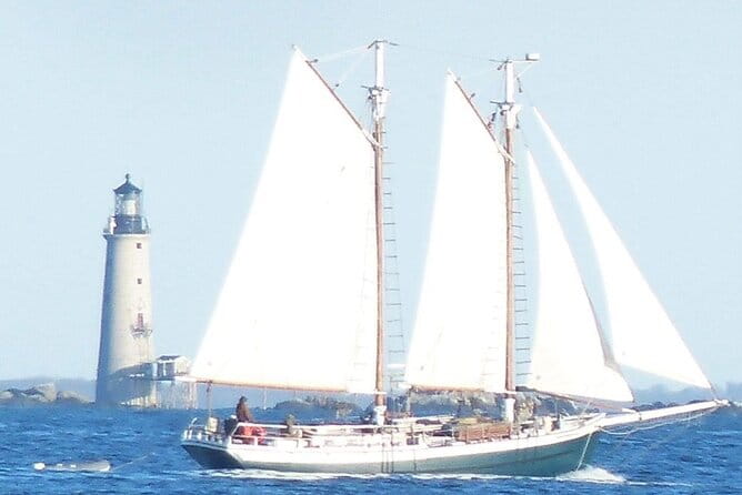Classic Tall Ship Sightseeing Cruise of Boston Harbor - The Crew and Hospitality