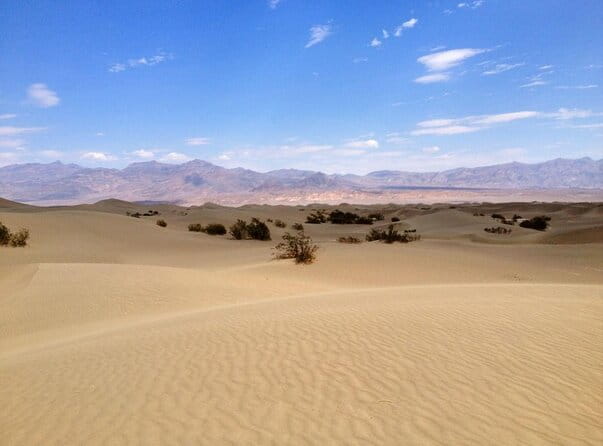 Half-Day Mojave Desert ATV Tour from Las Vegas - The Value Proposition