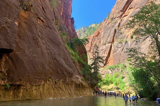 Zion National Park Small Group Tour from Las Vegas - What the Reviews Reveal