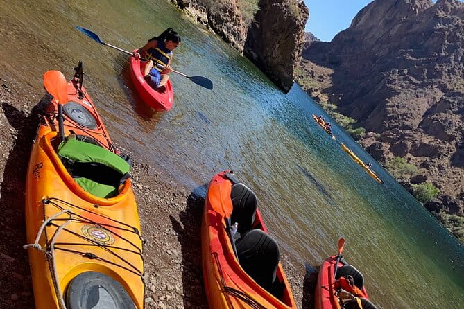 Half-Day Willow Beach Kayak Tour with Pick Up - Who Will Love This Tour?