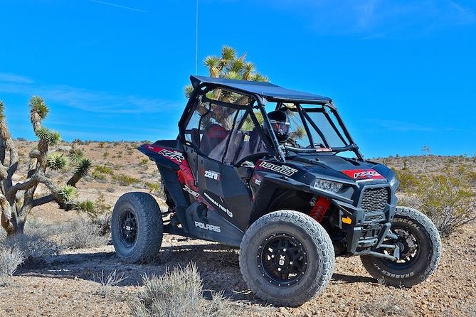 Mojave Desert Off Road RZR Tour in Las Vegas - What the Experience Feels Like