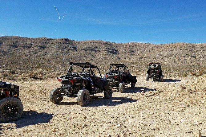 Mojave Desert Off Road RZR Tour in Las Vegas - Who Will Love This Tour?