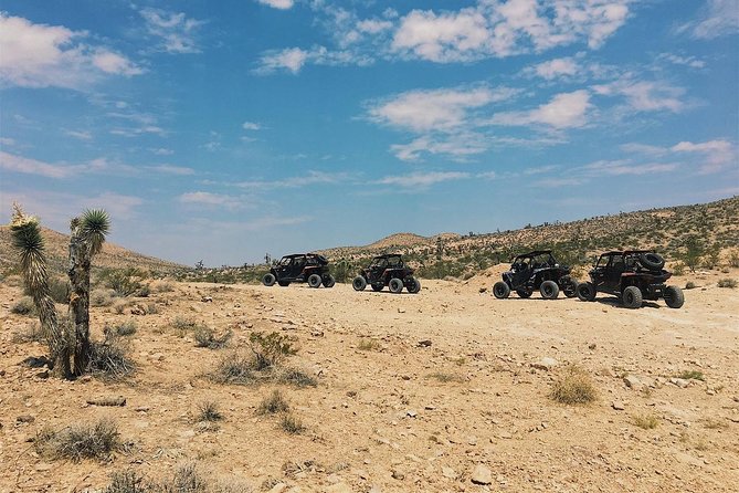 Mojave Desert Off Road RZR Tour in Las Vegas - Authentic Experiences and Participant Feedback