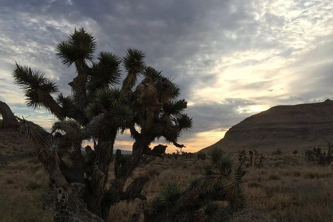Red Rock Canyon Sunset Horseback Ride and Barbeque Dinner - Practical Details and What’s Included