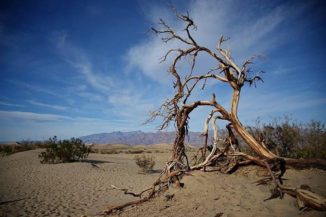 Small-Group Death Valley National Park Day Tour from Las Vegas - Who Should Book This Tour?
