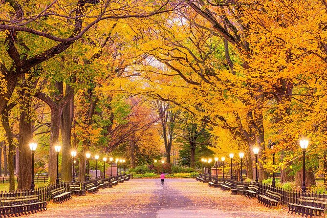 Half-Day Hell's Kitchen Food Tour and Central Park Stroll - Key Points