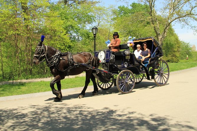 Official NYC Horse Carriage Rides in Central Park since 1979 ™ - Key Points