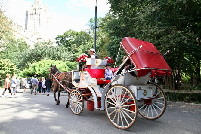 Official NYC Horse Carriage Rides in Central Park since 1979 ™ - Authentic Experiences and Real Guest Perspectives