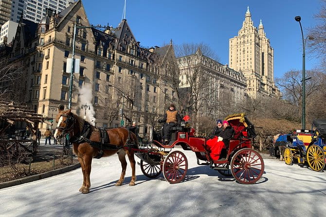 Official NYC Horse Carriage Rides in Central Park since 1979 ™ - Practical Tips and Considerations
