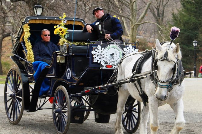 Official NYC Horse Carriage Rides in Central Park since 1979 ™ - The Value for Money