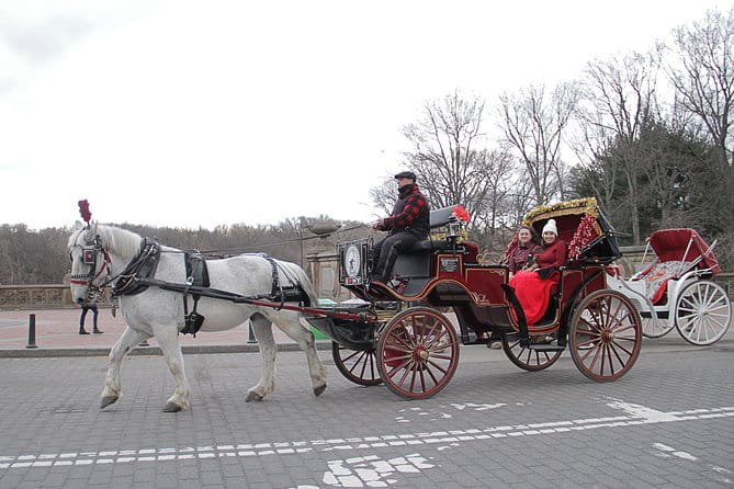 Official NYC Horse Carriage Rides in Central Park since 1979 ™ - FAQ