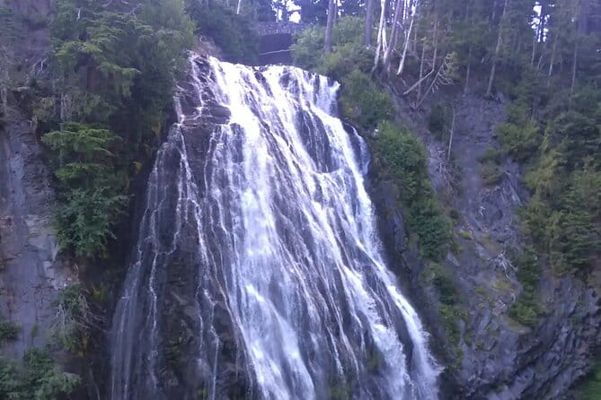 Mt. Rainier Tour and Guided Hike - Who Should Consider This Tour?
